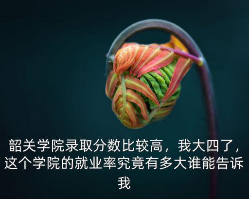 韶關學院本科分數線多少,韶關學院錄取分數比較高