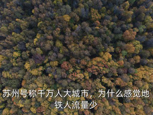 蘇州號稱千萬人大城市，為什么感覺地鐵人流量少