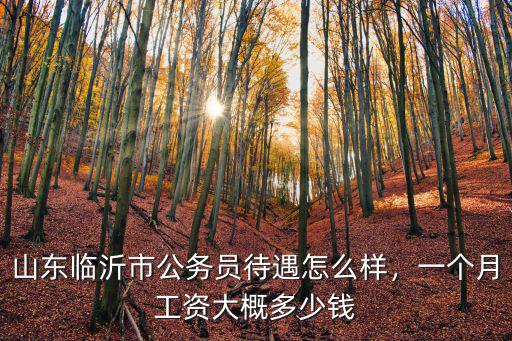 山東公務員一般年薪多少,山東聊城市公務員待遇怎么樣