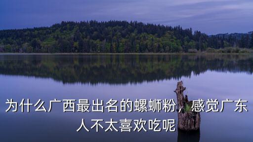 為什么廣西最出名的螺螄粉，感覺廣東人不太喜歡吃呢
