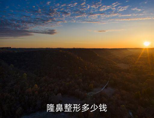 隆鼻整形多少錢