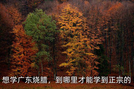 到哪里去學做廣東燒鵝,到哪里才能學到正宗的