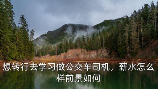 想轉行去學習做公交車司機，薪水怎么樣前景如何