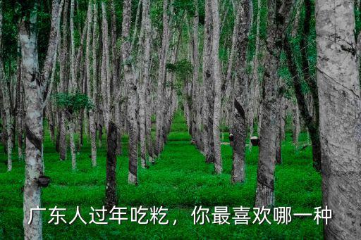 廣東人過年怎么吃,廣東人過年吃籺