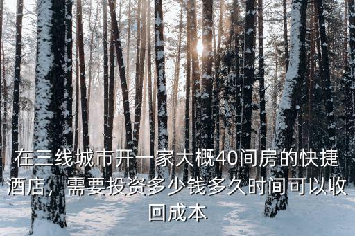 深圳投資一家酒店多少錢,需要投資多少錢