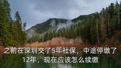 深圳三年社保怎么升5年,我在深圳交三年社保