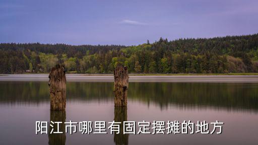 陽江市哪里有固定擺攤的地方
