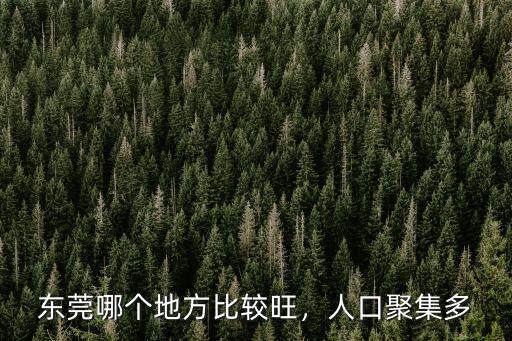東莞哪個地方比較旺，人口聚集多