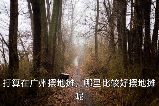 廣州哪里擺攤賣果汁比較好,打算在廣州擺地攤