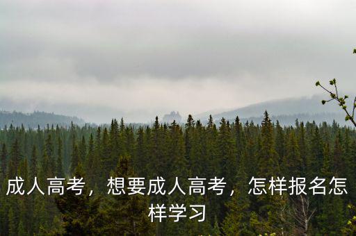 廣東成人高考怎么走流程,想要成人高考