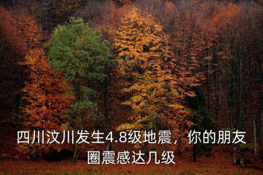汶川地震到廣州震感多少級,四川汶川發生4.8級地震