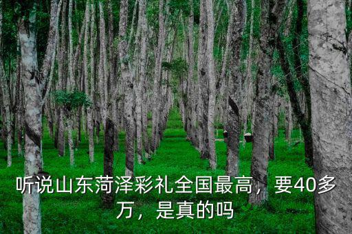 山東菏澤女孩嫁人要多少彩禮,聽說山東菏澤彩禮全國最高