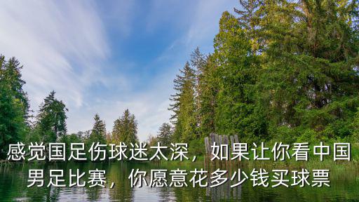 感覺國足傷球迷太深，如果讓你看中國男足比賽，你愿意花多少錢買球票