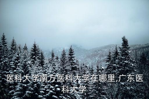 廣東醫科大學南方醫科大學在哪里,廣東醫科大學