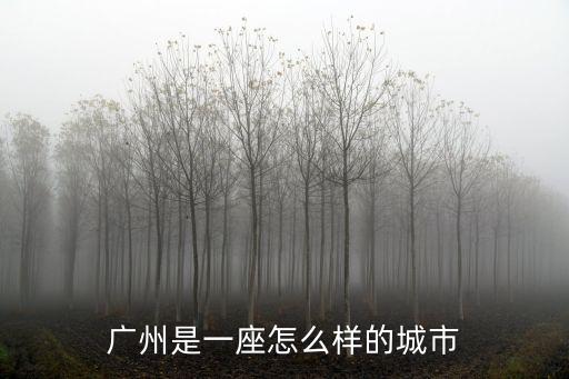 廣州大萱怎么樣,在廣州工作怎么樣