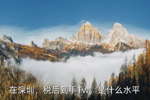在深圳，稅后到手1w，是什么水平