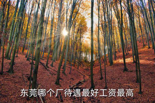 東莞城投待遇怎么樣,廣東東莞市公務員待遇怎么樣