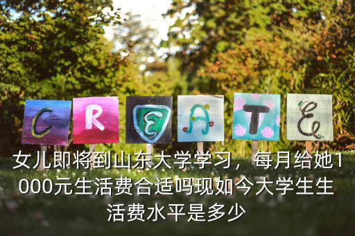 南京大學學生的生活費每月多少錢,在南京上大學一年要花多少錢