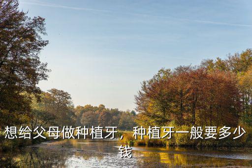 南京雅度口腔種植牙多少錢,種植牙一般要多少錢