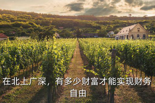 在深圳有多少錢算財務自由,有多少財富才能實現(xiàn)財務自由