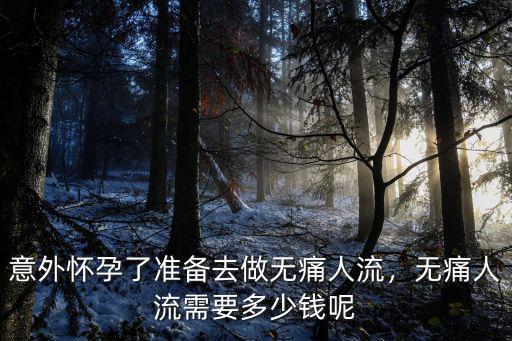 廣東海豐無痛人流多少錢,無痛人流需要多少錢呢