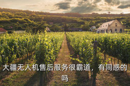 大疆無人機售后服務很霸道，有同感的嗎