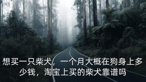想買一只柴犬，一個月大概在狗身上多少錢，淘寶上買的柴犬靠譜嗎