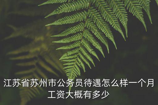 南京市公務員的工資多少錢,江蘇公務員一年收入多少錢
