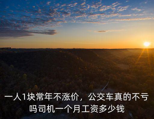 一人1塊常年不漲價(jià)，公交車真的不虧嗎司機(jī)一個(gè)月工資多少錢