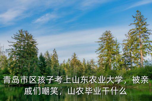 山東農(nóng)業(yè)大學優(yōu)秀畢業(yè)論文多少個,山東農(nóng)業(yè)大學好嗎