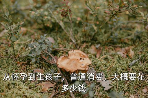 汕頭生個(gè)孩子要花多少錢(qián),從懷孕到生孩子