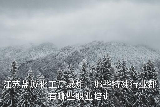 鹽城有多少精細化工廠,江蘇鹽城化工廠爆炸