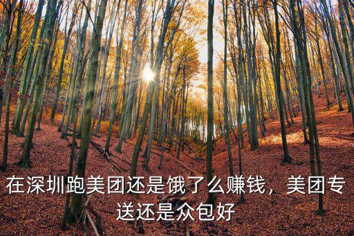 深圳跑餓嗎多少錢一個月,在深圳跑美團還是餓了么賺錢