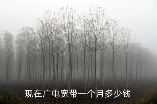 現在廣電寬帶一個月多少錢