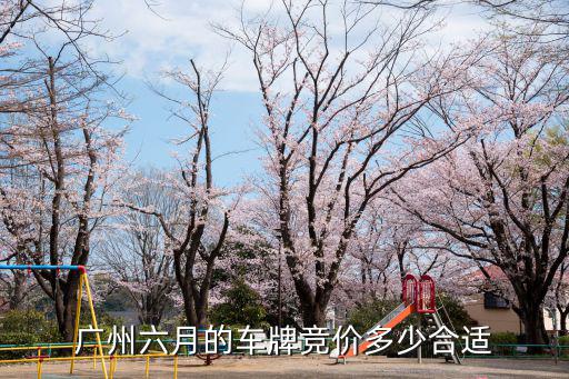 廣州6月車牌競價多少,廣州放寬粵A車牌搖號