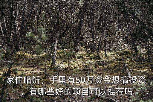 家住臨沂，手里有50萬資金想搞投資，有哪些好的項目可以推薦嗎