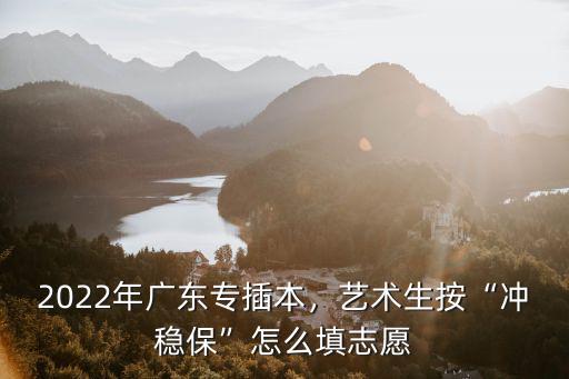 2022年廣東專插本，藝術(shù)生按“沖穩(wěn)保”怎么填志愿
