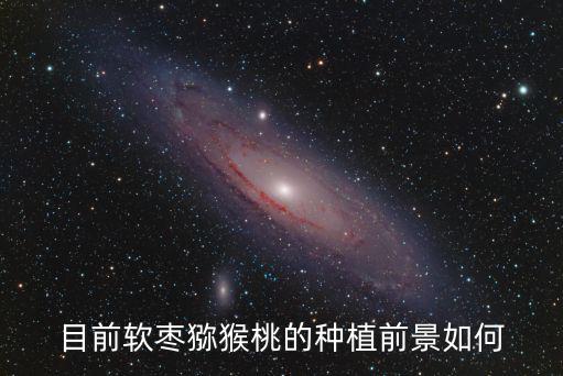 河源軟棗獼猴桃怎么種植方法,軟棗獼猴桃開花前怎么管理