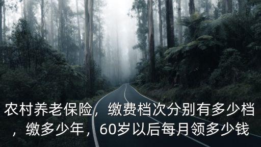 徐州農(nóng)村養(yǎng)老保險領(lǐng)多少,60歲以后每月領(lǐng)多少錢