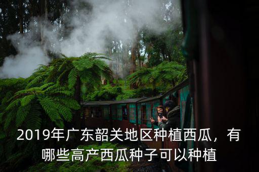 2019年廣東韶關地區(qū)種植西瓜，有哪些高產西瓜種子可以種植