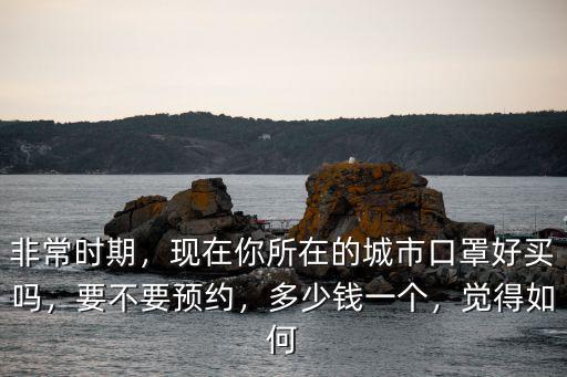 無錫預約的口罩多少錢一包,你買口罩花多少錢