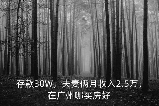 兩夫妻在廣州月收入多少夠用,夫妻倆月收入2.5萬