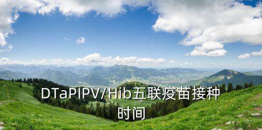 DTaPIPV/Hib五聯疫苗接種時間