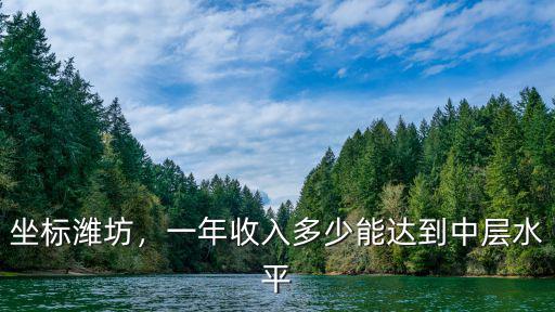 坐標濰坊，一年收入多少能達到中層水平