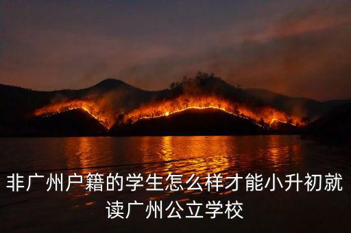 廣州公立學校怎么樣,非廣州戶籍的小孩