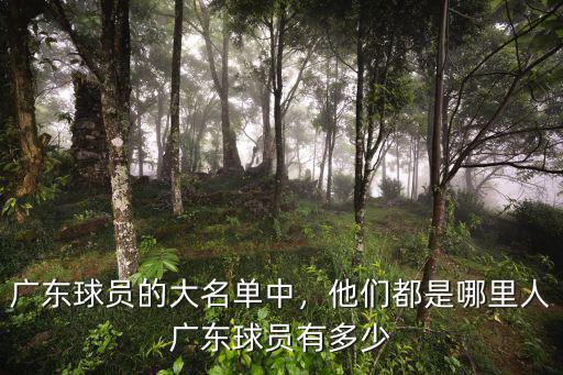 蔡光華是廣東哪里人,廣東圍頭人其實是客家人