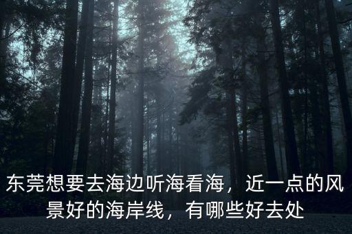 東莞海邊去哪里比較好,東莞去哪里的海邊好玩些