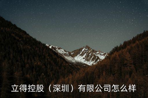 立得控股（深圳）有限公司怎么樣