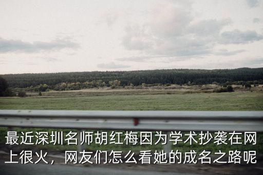 最近深圳名師胡紅梅因為學術抄襲在網上很火，網友們怎么看她的成名之路呢