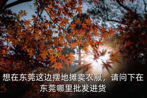 東莞蛋類批發市場哪里進貨,想在東莞這邊擺地攤賣衣服